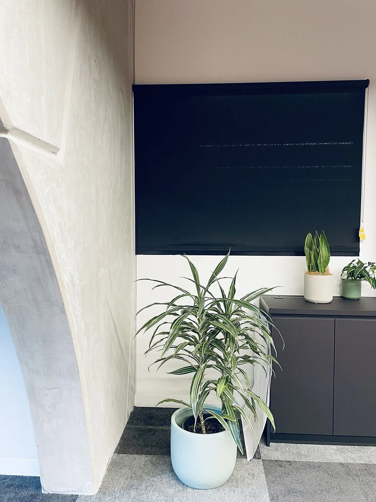 star-health-at-the-victorian-pride-centre-gallery